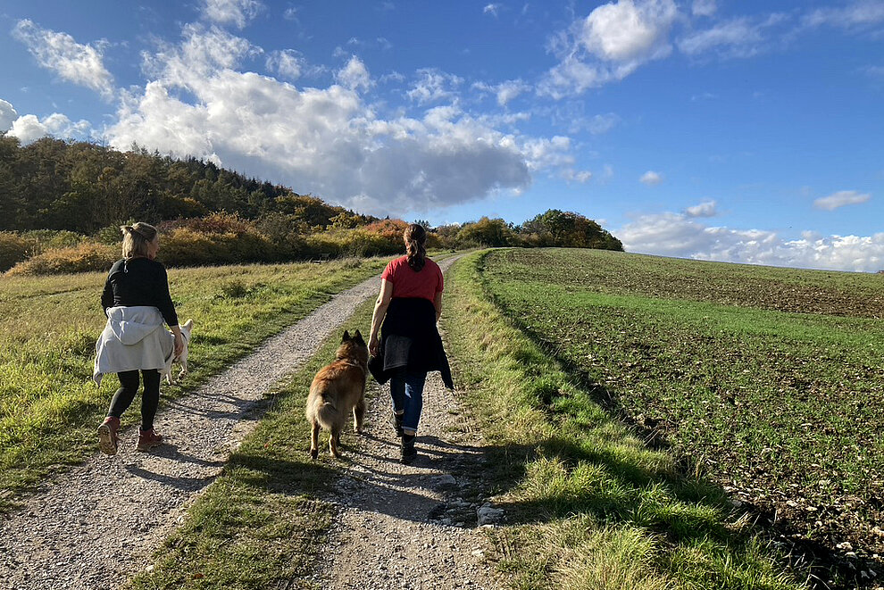 Wandern im Herbst © HG Scharf Wandern im Herbst © HG Scharf