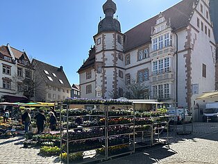 20230419_Wochenmarkt_Rathaus_0593